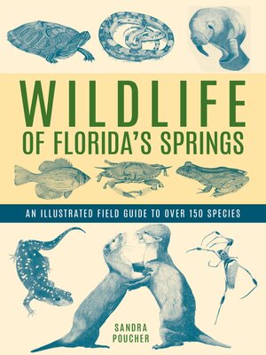 cover image of Wildlife of Florida's Springs